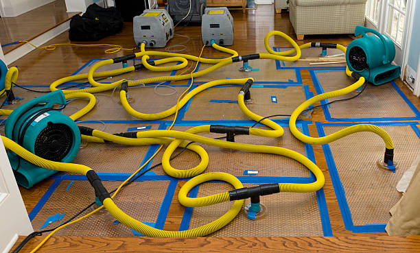 Professional Structural Drying And Dehumidification technician working in Sheffield, IA